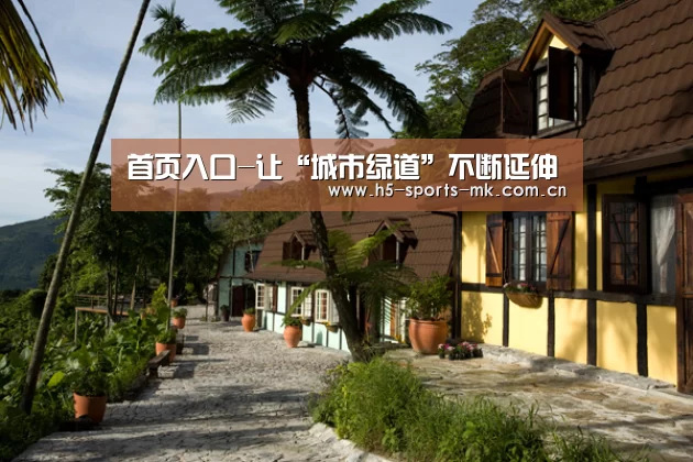  首页入口