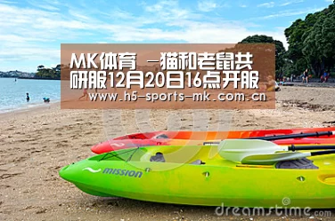 MK体育 -猫和老鼠共研服12月20日16点开服 12月26日16点关服(图2) MK体育