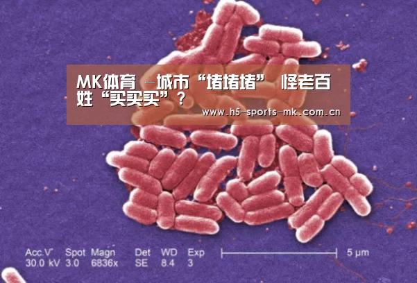 MK体育 -城市“堵堵堵” 怪老百姓“买买买”?(图2) MK体育