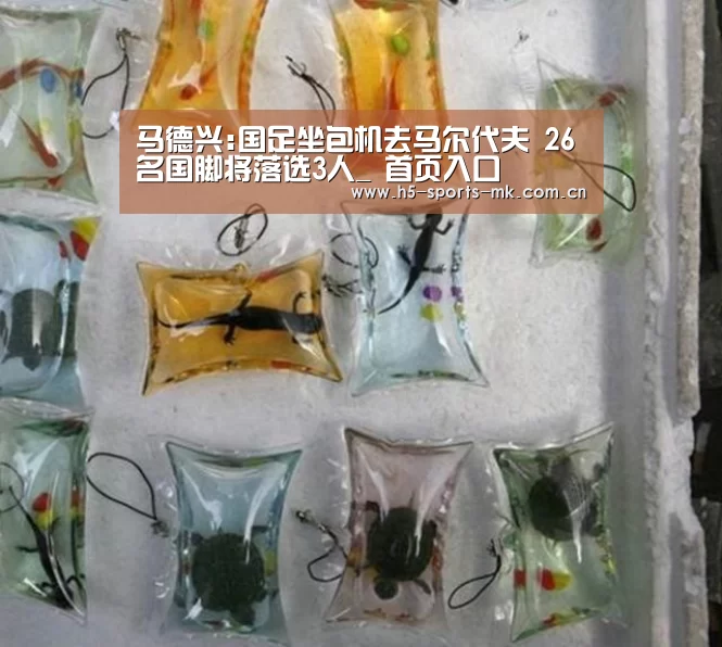 马德兴:国足坐包机去马尔代夫 26名国脚将落选3人_ 首页入口(图3) 首页入口