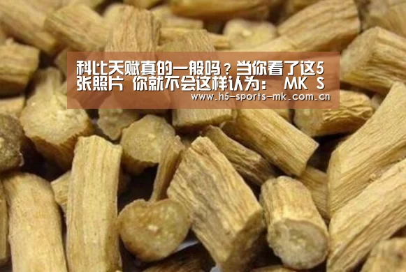  MK SPORTS官方网站 